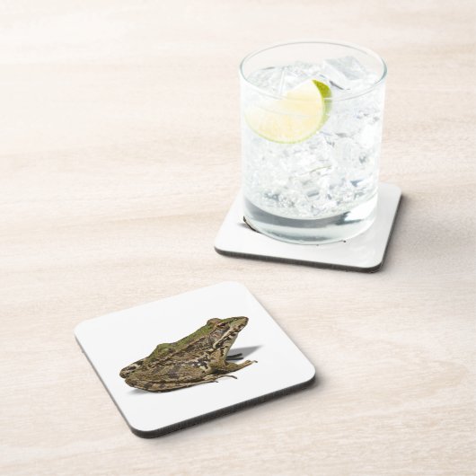 カエル コースター (右側)