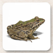 カエル コースター (正面)