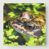 カエル スクエア壁時計 (正面)