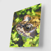 カエル スクエア壁時計 (傾斜)