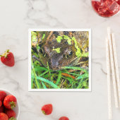 カエル スタンダードカクテルナプキン (インサイチュ)