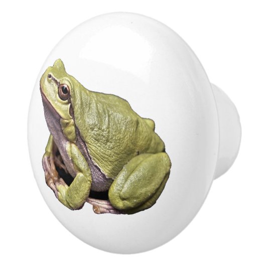 カエル セラミックノブ (右)