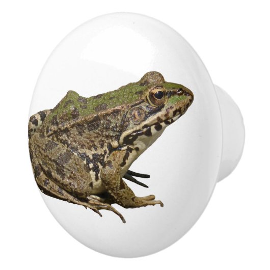 カエル セラミックノブ (右)