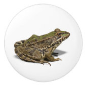 カエル セラミックノブ (正面)