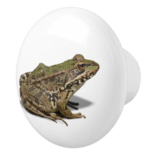 カエル セラミックノブ (右)