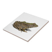 カエル タイル (側面)