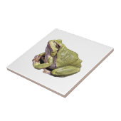 カエル タイル (側面)