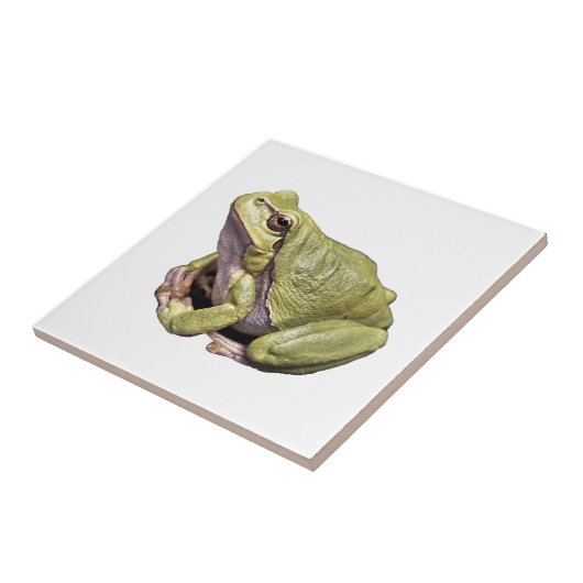 カエル タイル (側面)