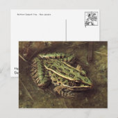 カエル/タッド葉書 ポストカード (正面/裏面)