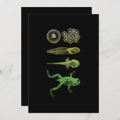 カエル・タポール変態ライフサイクル生物学 シーズンカード (正面/裏面)