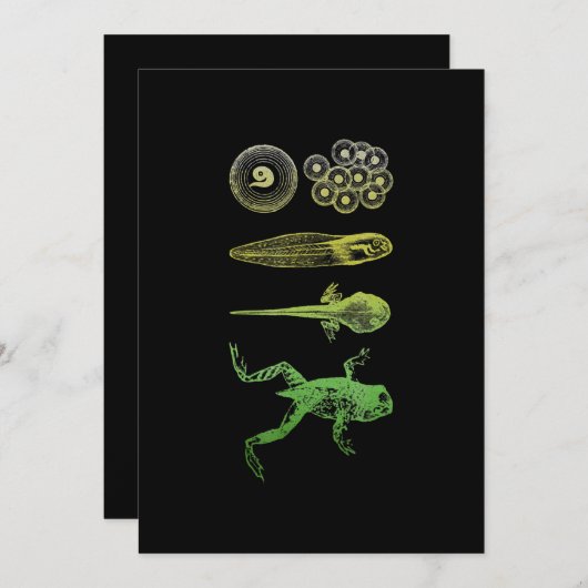 カエル・タポール変態ライフサイクル生物学 シーズンカード (正面/裏面)