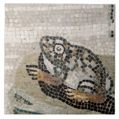 カエル、ファウヌスの家からのナイルのモザイク、 タイル (正面)