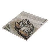 カエル、ファウヌスの家からのナイルのモザイク、 タイル (側面)