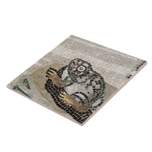 カエル、ファウヌスの家からのナイルのモザイク、 タイル (側面)