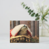 カエル・プリンス ポストカード (スタンド正面)