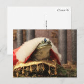 カエル・プリンス ポストカード (正面/裏面)