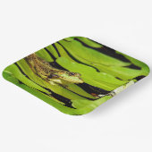 カエル ペーパープレート (傾斜あり)