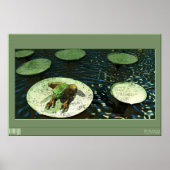 カエル ポスター (正面)