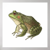 カエル ポスター (正面)