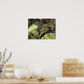 カエル ポスター (キッチン)