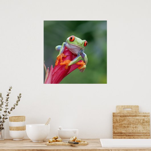 カエル ポスター (キッチン)