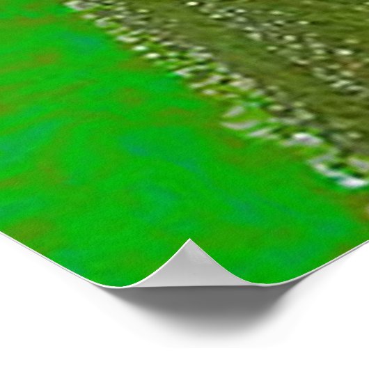 カエル ポスター (角)