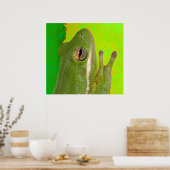 カエル ポスター (キッチン)