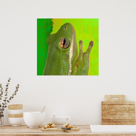 カエル ポスター (キッチン)