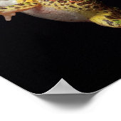 カエル ポスター (角)