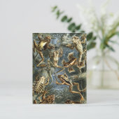 カエル ポストカード (スタンド正面)