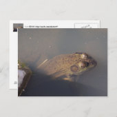 カエル ポストカード (正面/裏面)