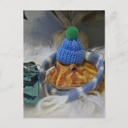 カエル ポストカード (正面)