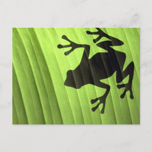 カエル ポストカード (正面)