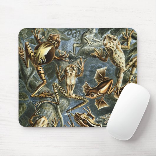 カエル マウスパッド (マウス)