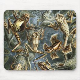 カエル マウスパッド