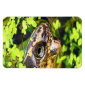 カエル マグネット (横)