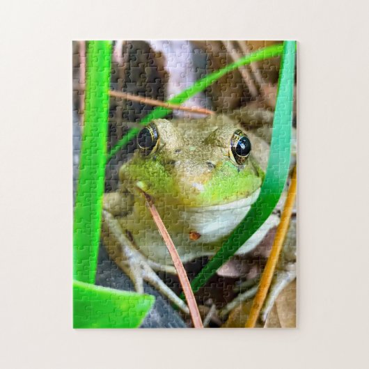 カエル ミネソタ州の写真 ジグソーパズル (縦)