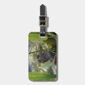 カエル ラゲッジタグ (正面縦)