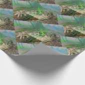 カエル ラッピングペーパー (角)