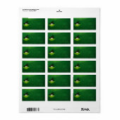 カエル ラベル (フルシート)