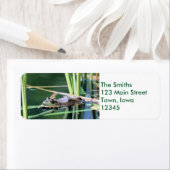 カエル ラベル (インサイチュ)