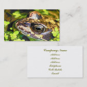 カエル 名刺 (正面/裏面)