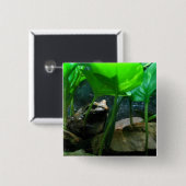 カエル 缶バッジ (正面&裏面)