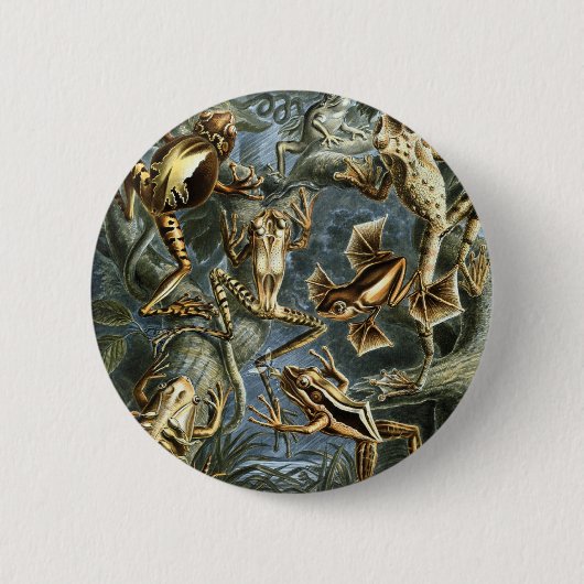 カエル 缶バッジ (正面)