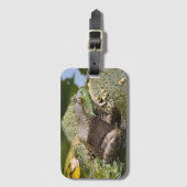 カエル - 老いたケロッケル ラゲッジタグ (正面縦)