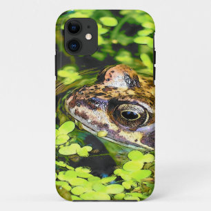 カエル iPhone 11 ケース