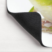 カエルLitora Infrafrenata マウスパッド (コーナー)