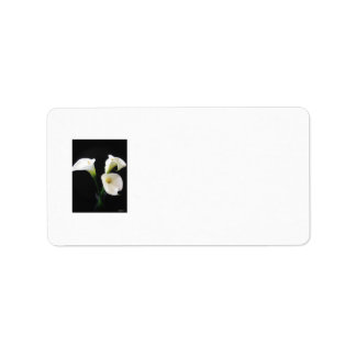 カエレガントラユリの花12 ラベル