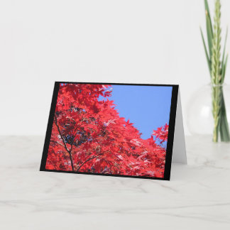 カエ日本のデ カード