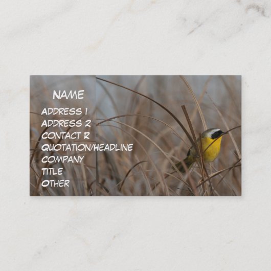 カオグロアメリカムシクイの名刺 名刺 (正面)